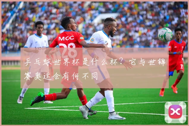 乒乓球世界杯是什么杯？它与世锦赛奥运会有何不同