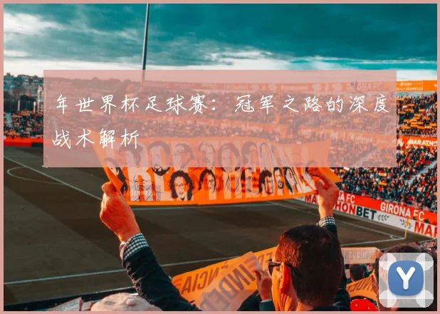 年世界杯足球赛：冠军之路的深度战术解析