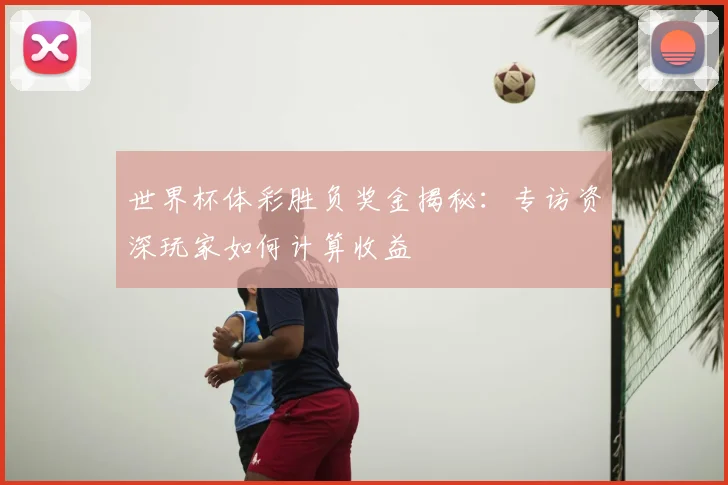 世界杯体彩胜负奖金揭秘：专访资深玩家如何计算收益