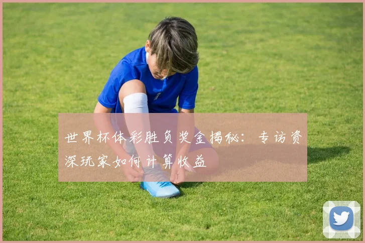 世界杯体彩胜负奖金揭秘：专访资深玩家如何计算收益