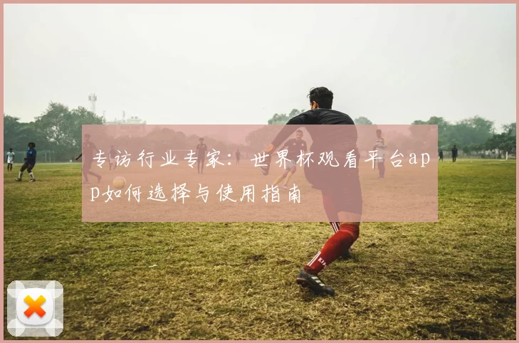 专访行业专家:世界杯观看平台app如何选择与使用指南
