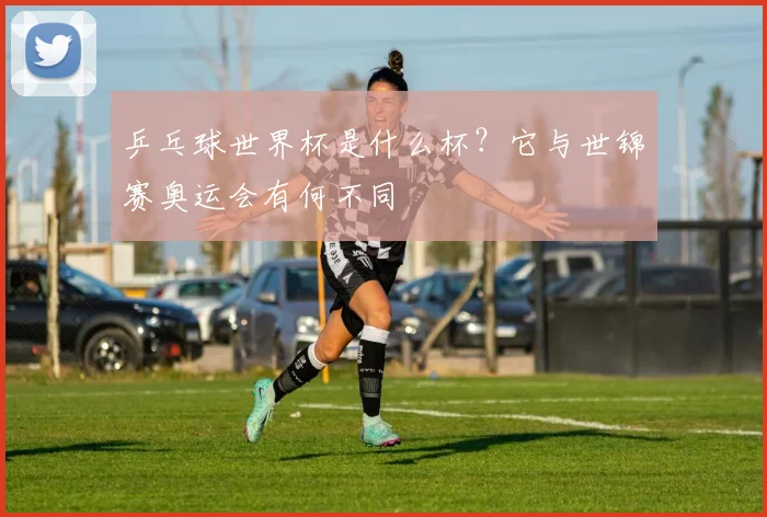乒乓球世界杯是什么杯？它与世锦赛奥运会有何不同